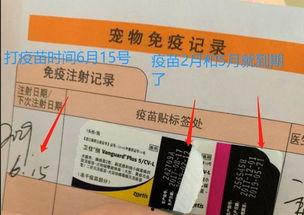 娱乐吃瓜酱宠物疫苗本,吃瓜酱带你全面了解宠物疫苗接种知识