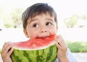 终生皆苦娱乐吃瓜酱,揭秘苦中作乐的生活哲学