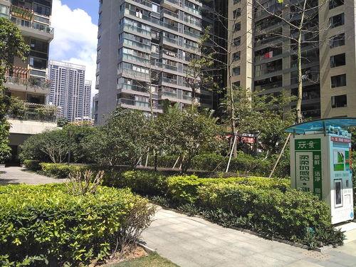 深圳福田网红资源,网红打卡地，潮流生活新地标